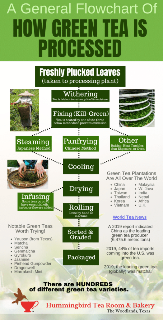 How Green Tea Is Processed Flow Chart