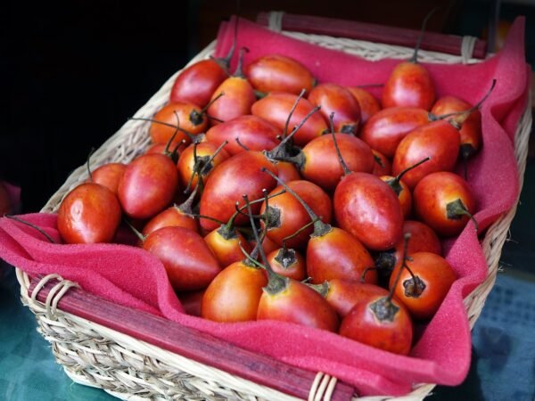 tree tomato tea