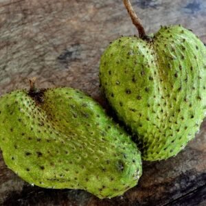 soursop leaf tea