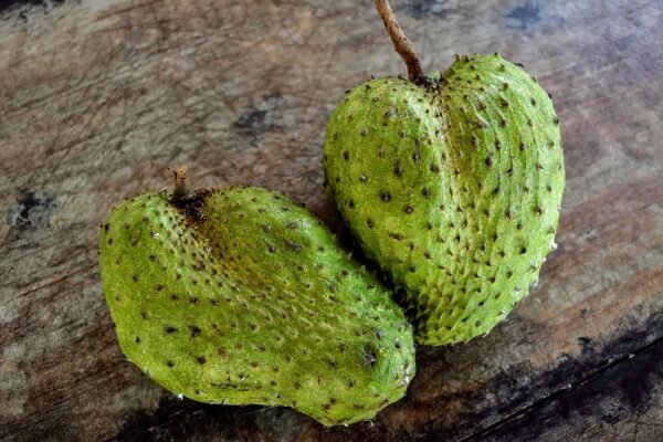 soursop leaf tea